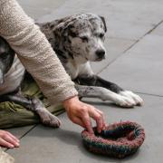 Dozens of prosecutions in the West Midlands for begging in past five years
