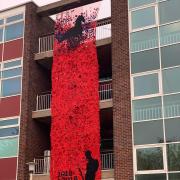 The draping poppy display at Crestwood School.