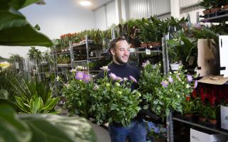 London based flower market wholesaler to launch regional hub in Lye