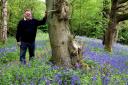 Peter Brookes in his ancient bluebell wood, off Greensforge Lane, Stourton. Pic - Miriam Balfry