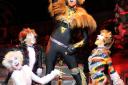 Cats: The Musical - a purrr-fect show!