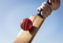 Festival will mark 10 years of disability cricket at Oldswinford Cricket Club