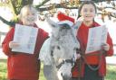In happier times: Emily and Maisie Sproule with Kenny the donkey in 2009.