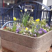 One of the planters in Foster Street tended to by Stourbridge u3a members