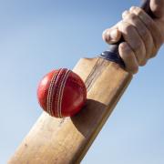 Festival will mark 10 years of disability cricket at Oldswinford Cricket Club