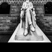 Statue of Charles Darwin