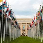 The United Nations diplomatic conferences are a guide for many Model UN participants across the globe