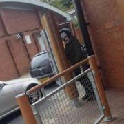 This 'Killer clown' picture was reportedly taken at a Kidderminster McDonald's restaurant and posted on social media on October 9