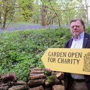 Peter Brookes in his bluebell woods which he's opening as part of the Open Gardens Scheme