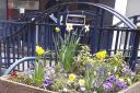 One of the planters in Foster Street tended to by Stourbridge u3a members