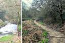 Forgotten pathways are being uncovered and cleared up along the River Stour at Stambermill so more people can access the hidden Black Country beauty spot.