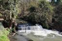 The Wordsley waterfall where a dead horse has been spotted in the water