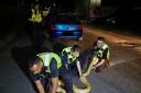 Officers catching the python