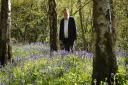Peter Brookes in his bluebell wood which is opening to the public on Saturday May 14 as part of the National Gardens Scheme.