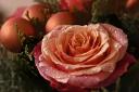 Wollaston florist to host Christmas floral demonstration