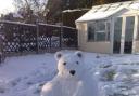 Sonnia's snow bear