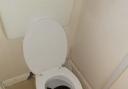 The sight that greeted Laura Tranter in her toilet. Pic: SWNS