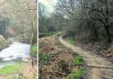 Forgotten pathways are being uncovered and cleared up along the River Stour at Stambermill so more people can access the hidden Black Country beauty spot.