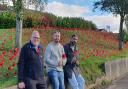 Amblecote councillors Pete Lee, Paul Bradley and Kamran Razzaq unveil the sea of poppies that has been created in Amblecote for Remembrance