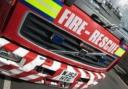 Firefighters put out blaze involving tree and undergrowth at Ismere