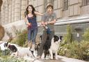 Dog movie is tail-waggingly sweet