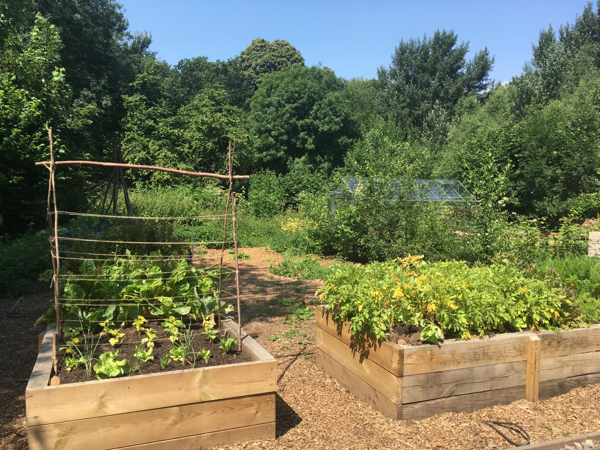 A market garden has been created at Riverside House