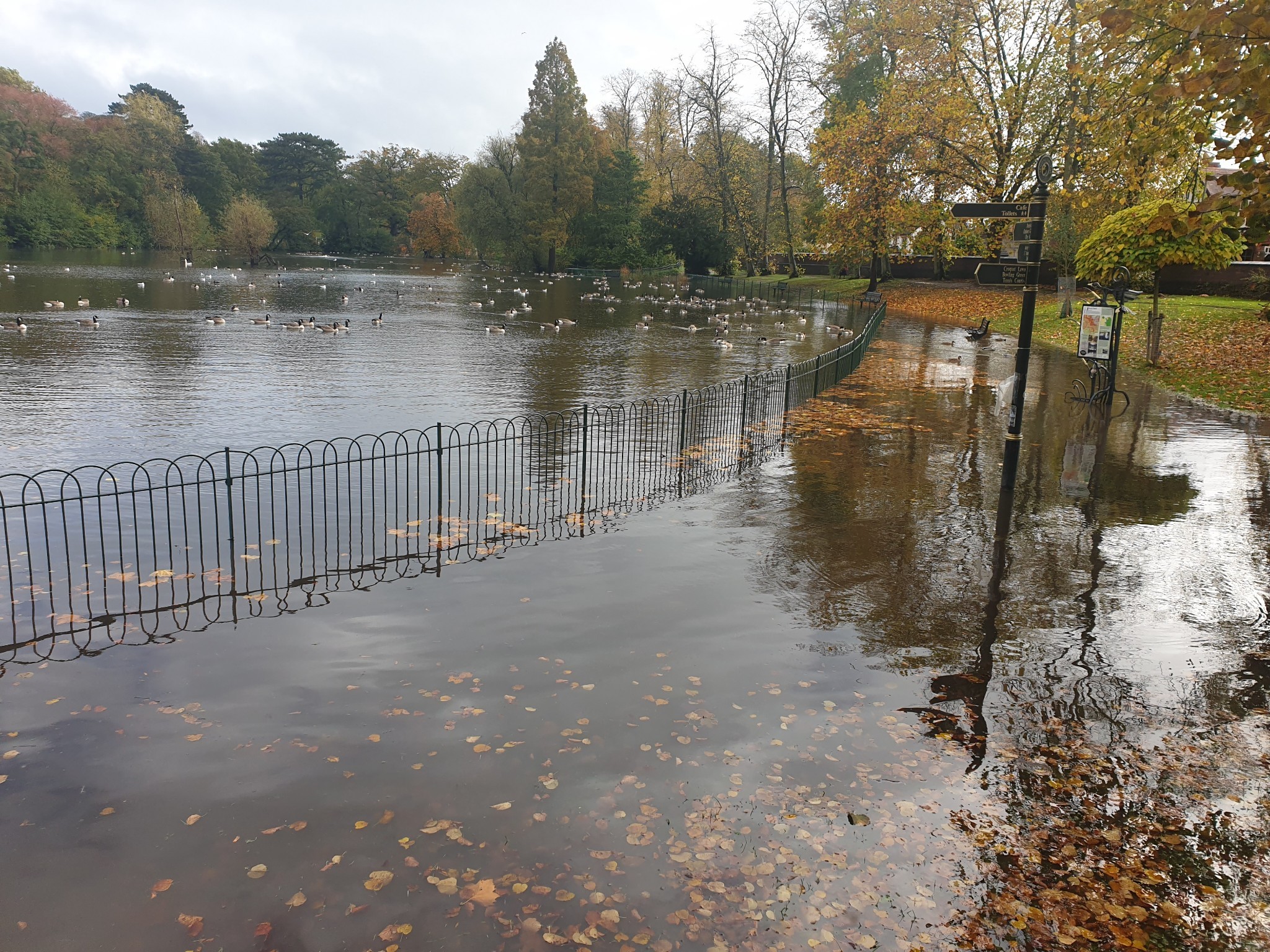 The flooding in Mary Stevens Park, captured on camera by Danielle Stockdale