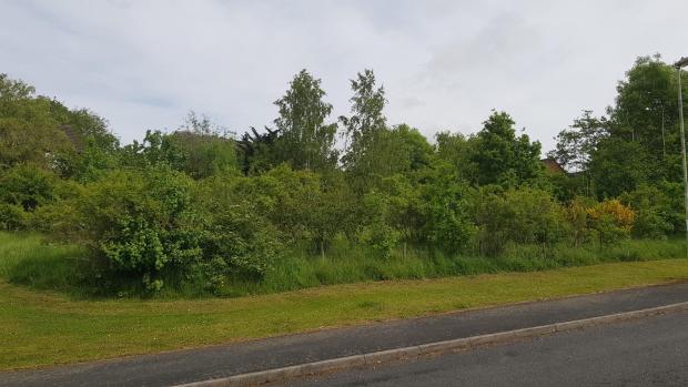 Stourbridge News: The land off Culverhouse Drive which was left as public open space when the Clockfields estate was built on a former open cast coal mining site