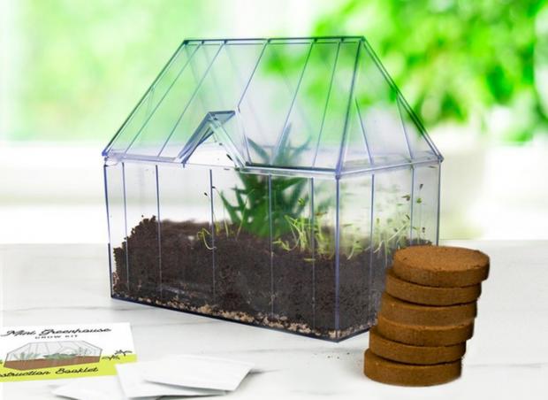 Stourbridge News: Mini Greenhouse Kit (Moonpig)