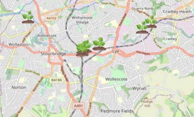 Stourbridge News: Giant Hogweed Locations Map (WhatShed)