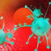 Coronavirus: latest local and national news