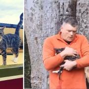 Tabetha the cat, left, enjoying canal-boat life, and Andrew Taylor, pictured right cradling his beloved pet after the fatal ordeal.