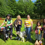 L-r – Suzanne Webb MP with winners Gent and his owner Karen Fisher, Dave and his owner Sophie Duxon, Ivy and her owners Emily and Charlotte Pusey