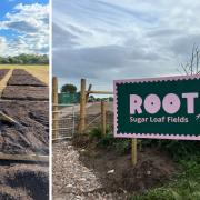 Roots allotments company aims to get Stourbridge people growing their own