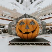Spooky House on the Hill and circus shows among Halloween treats at Merry Hill