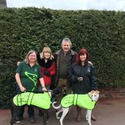 L-r - Greyhound Trust volunteer Marie Whitehouse, Joan and Carl Ashmore and Amanda Bloomer from the Greyhound Trust.