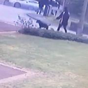 The dog walker captured on CCTV