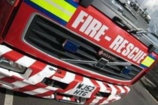 Firefighters put out blaze involving tree and undergrowth at Ismere